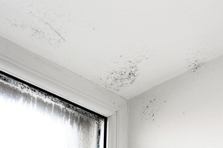 Haut de fenêtre avec de l'humidité, taches au plafond