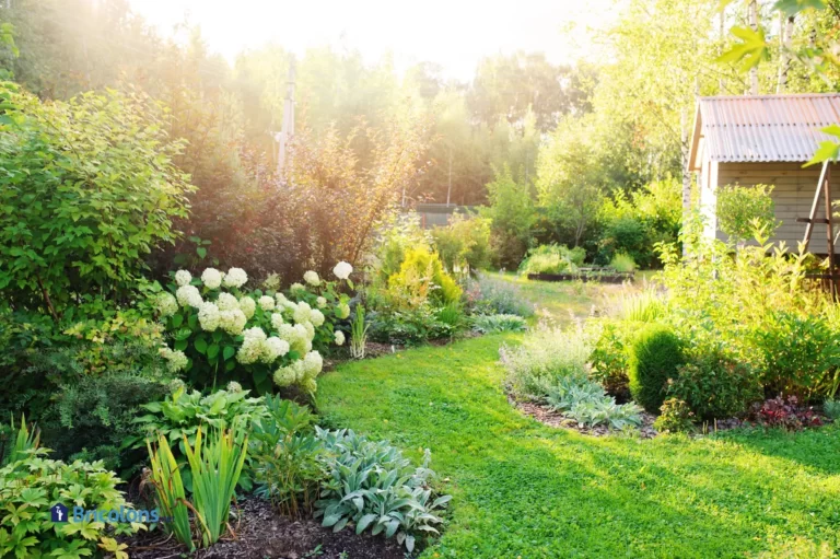 Un jardin écologique.